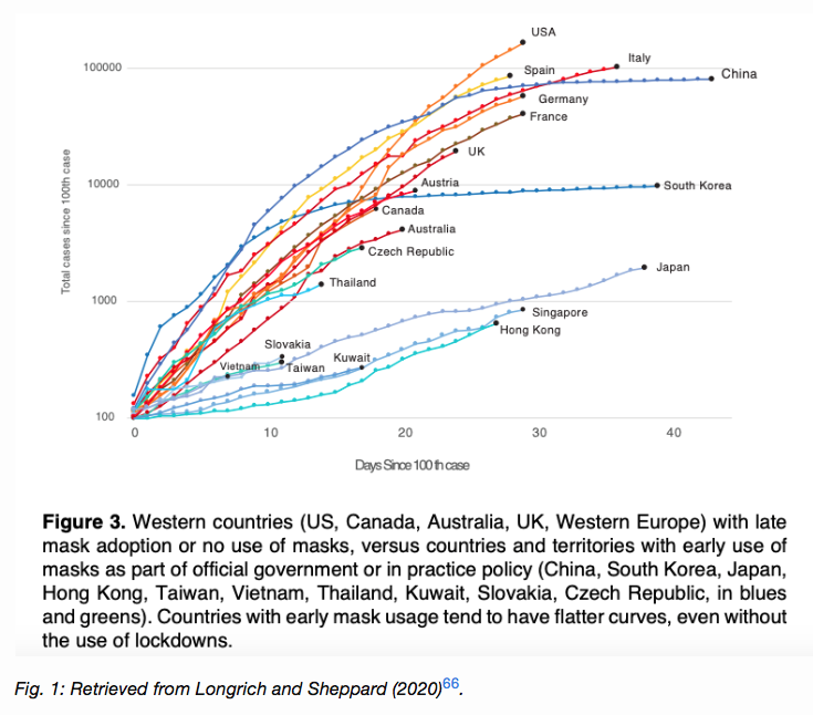 Royal Society Report on masks